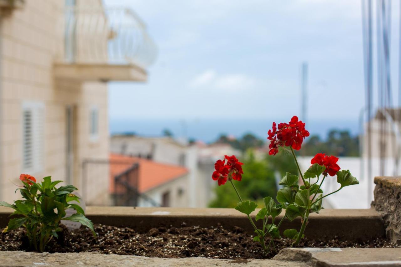 Serious Job Apartment Ντουμπρόβνικ Εξωτερικό φωτογραφία